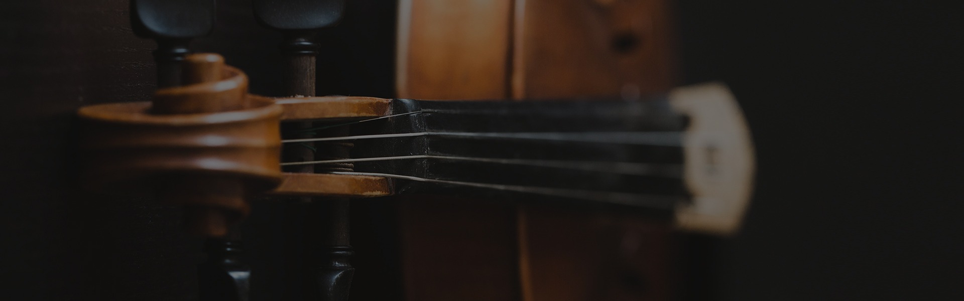 Violin closeup — strings and scroll detail